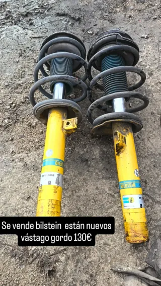 Amortiguadores Bilstein Vástago Gordo