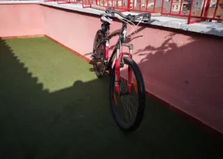 Bicicleta de montaña