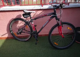Bicicleta de montaña