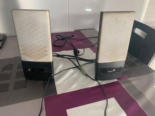 Altavoces Genius PC Beige y Negro