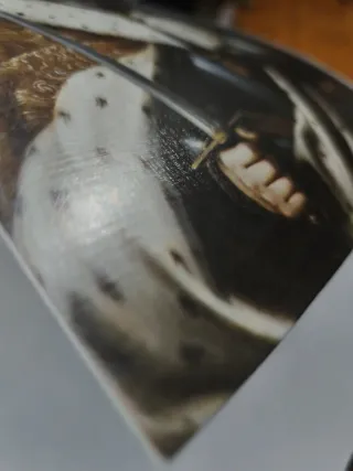 Cuadro Fernando el Sant