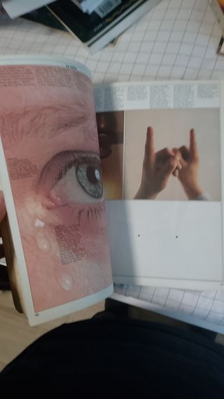 Los amantes de la ciencia