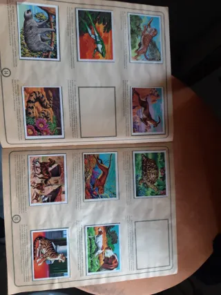 Álbum Cromos Antiguo El Más y El Menos