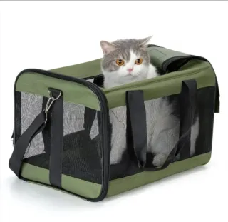 Cecotec Aspiradora Escoba Transportín para Gato