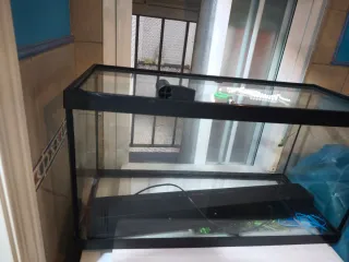 Acuario/Terrario de Cristal y Plástico