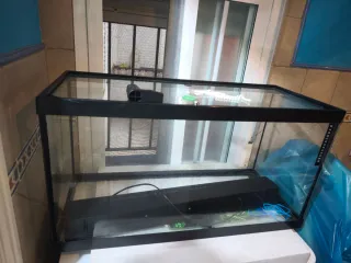Acuario/Terrario de Cristal y Plástico