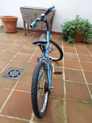 Bicicleta infantil 20 pulgadas