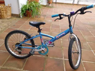 Bicicleta infantil 20 pulgadas