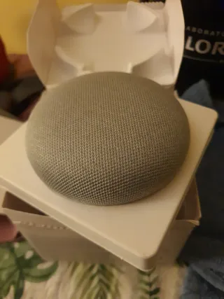 Google Home Mini Grigio