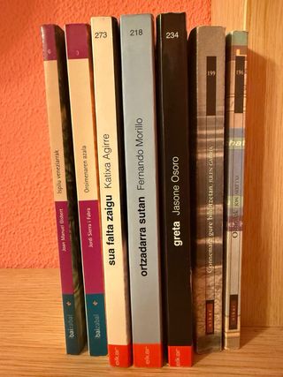 Libros para adolescentes en Euskera