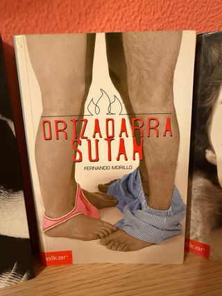 Libros para adolescentes en Euskera