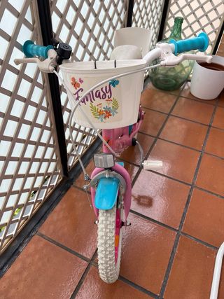Bicicleta Infantil Toimsa 14” Fantasy Rosa
