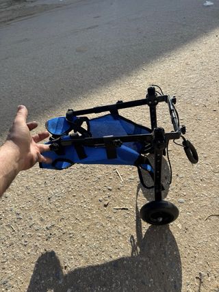 Ruedines para perros