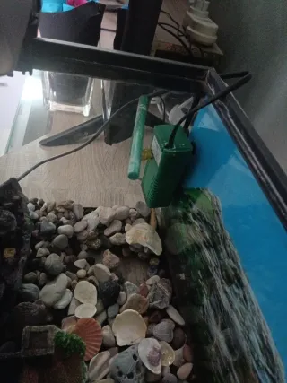 Pecera con accesorios