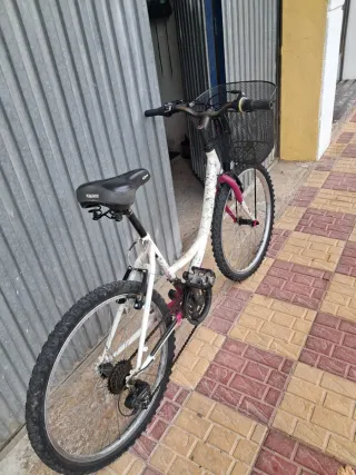 Bicicleta niña 24 pulgadas
