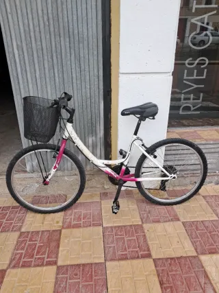Bicicleta niña 24 pulgadas