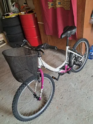 Bicicleta niña 24 pulgadas