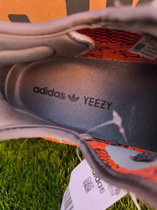 Adidas Yeezy Boost 350 V2 Beluga