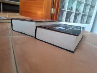 Los herederos de la tierra (Novela histórica) (...