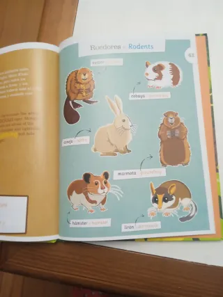 Lote libros infantiles ingles