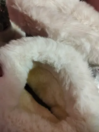 Botas de invierno plateadas con forro blanco