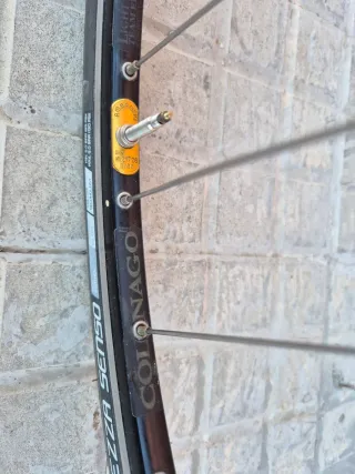 Bicicleta Colnago Lux Titanio