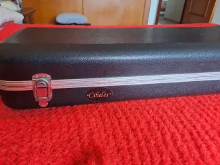 Bajo Ibanez de 5 cuerdas