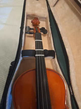 Violín 4/4 con funda y arco + cuerdas