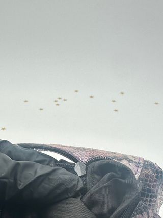 Borsa Gucci Jackie Hobo Pelle Pitone Vintage