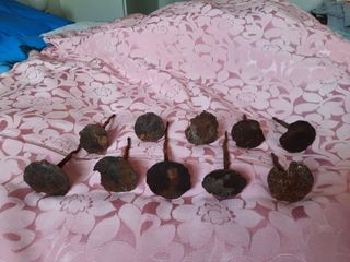 10 Clavos antiguos hierro forjado puertas antiguas