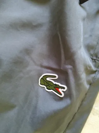 Conjunto Chándal Lacoste Gris y Blanco