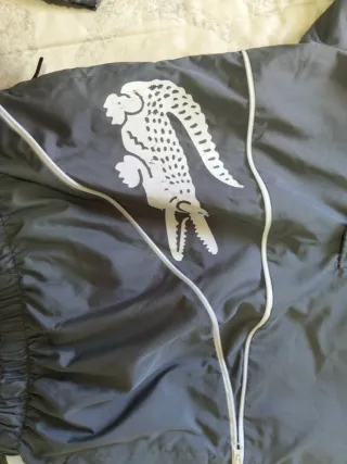 Conjunto Chándal Lacoste Gris y Blanco