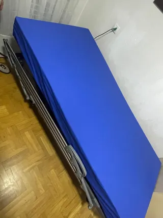 Cama articulada hospitalaria