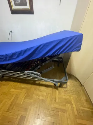 Cama articulada hospitalaria