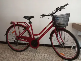 Bicicleta talla G