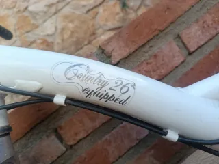 Bicicleta Paseo Country 26