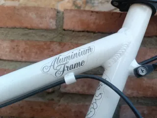 Bicicleta Paseo Country 26