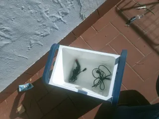 Nevera eléctrica para coche