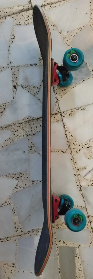 Skate Santa Cruz Old School