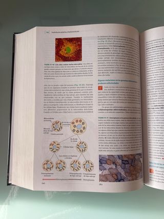 PRINCIPIOS DE BIOQUÍMICA LEHNINGER,5/ED. (BIOQU...