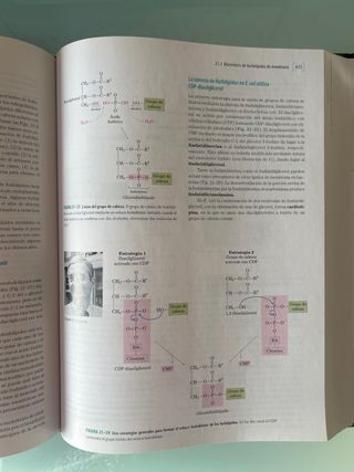 PRINCIPIOS DE BIOQUÍMICA LEHNINGER,5/ED. (BIOQU...