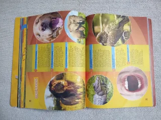 Records animales National Geographic