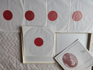 5LPs. Mozart. Arias, Lieder, Canones, Cantatas.