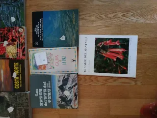 Historia y geografía del Perú y Bolivia