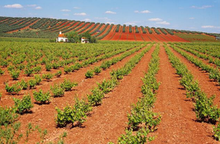Solar urbanizable en Valdepeñas