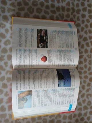 Diccionario escolar de lengua Espanola/ Spanish...