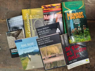 Pack libros literatura española