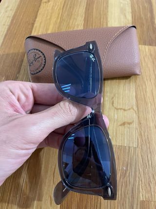 Gafas de sol Ray-Ban Wayfarer Gris Transparente