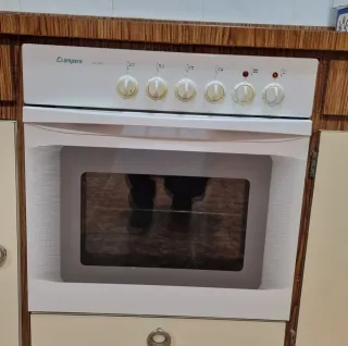 Vitrocerámica y horno Aspes