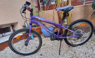 Bicicleta infantil morada Marca: Megamo